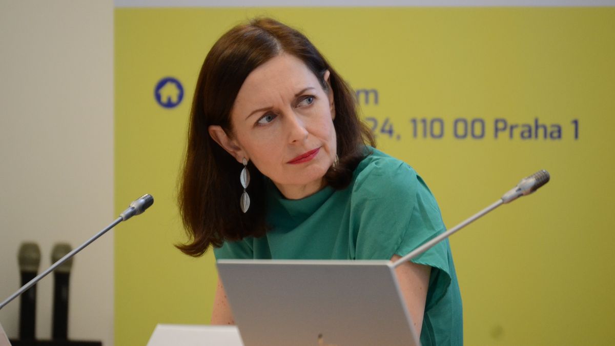 Vnitro svolalo jednání k úmrtí ukrajinského chlapce na pracovní úraz